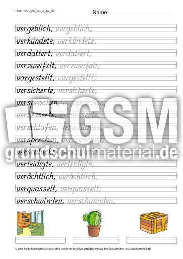 DSS_2S_Bu_v_Nr_09.pdf
